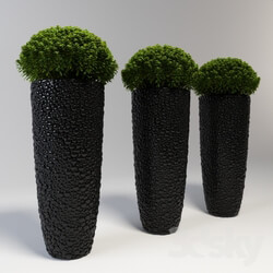 A large vase with a plant Indoor 3D Models 