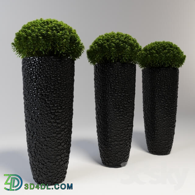 A large vase with a plant Indoor 3D Models