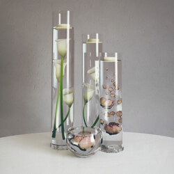 Plant - decorative set with flowers 