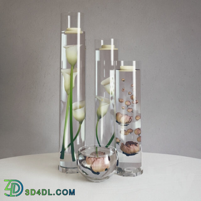 Plant - decorative set with flowers