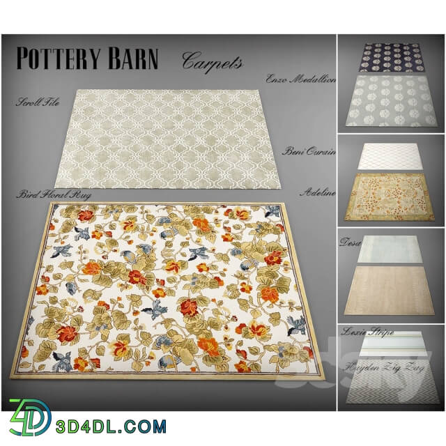 Collection rugs from Pottery Barn