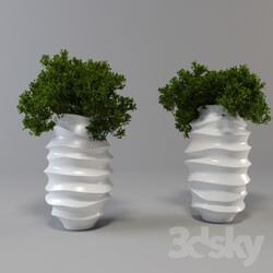 Large white vase with a plant 3D Models 