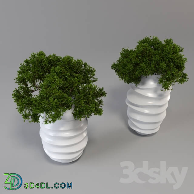 Large white vase with a plant 3D Models