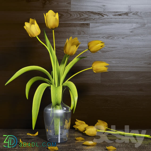 Plant TULIP FLOWER VASE