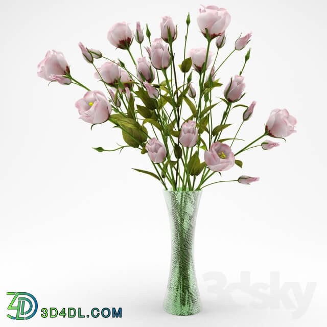 Plant Eustoma bouquet