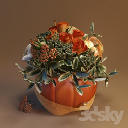 Plant - Autumn bouquet 