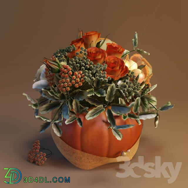 Plant - Autumn bouquet