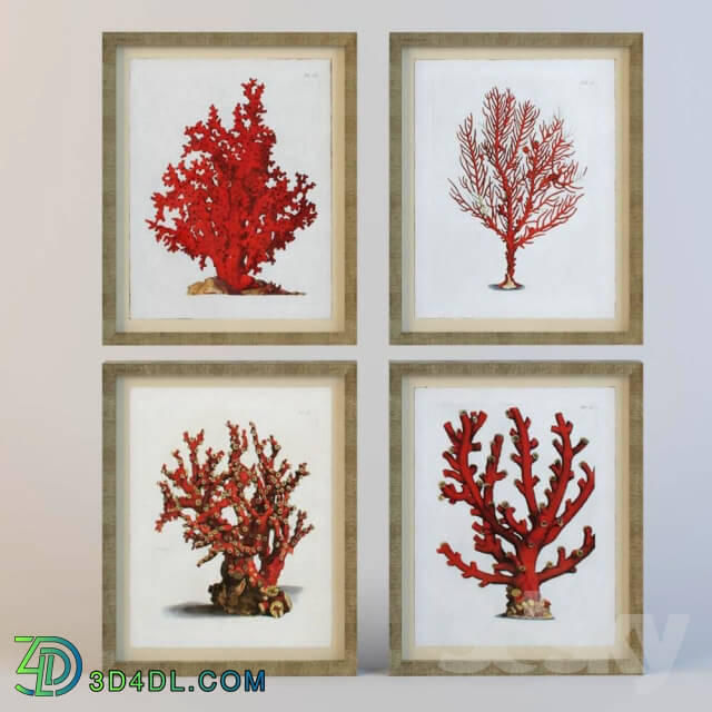 Painting Red Coral 