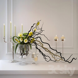 decorative set with branches 