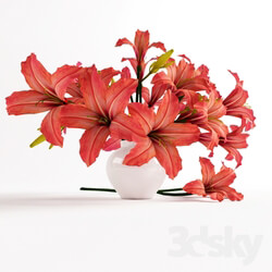 Bouquet of orange lilies 3D Models 