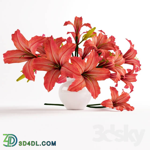 Bouquet of orange lilies 3D Models