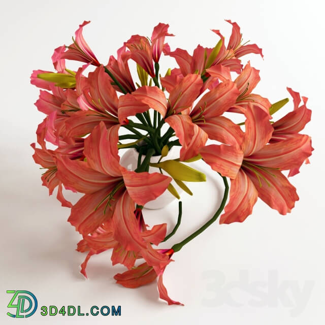 Bouquet of orange lilies 3D Models