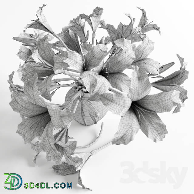 Bouquet of orange lilies 3D Models