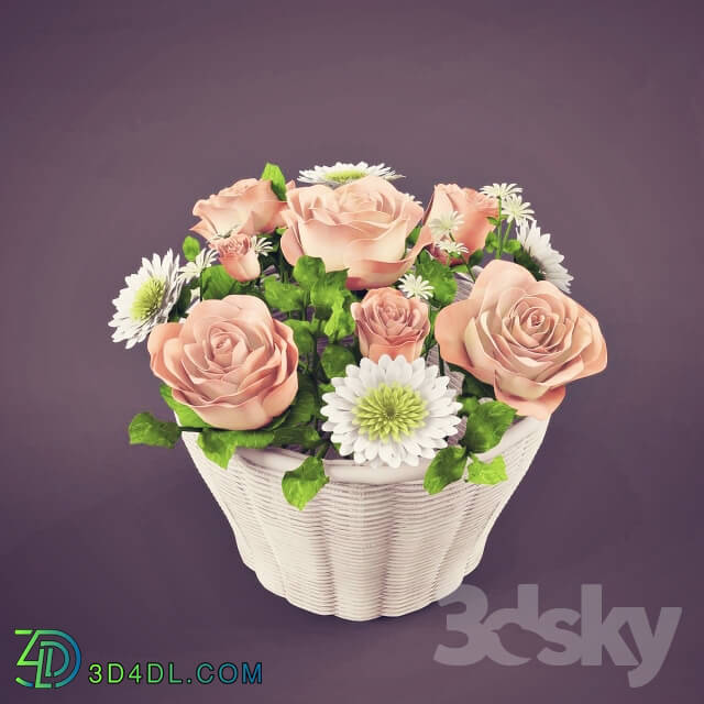 Plant Bouquet of flowers