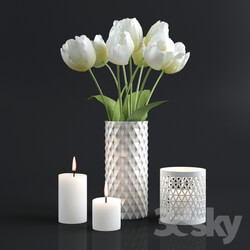 Plant Tulips and candles 