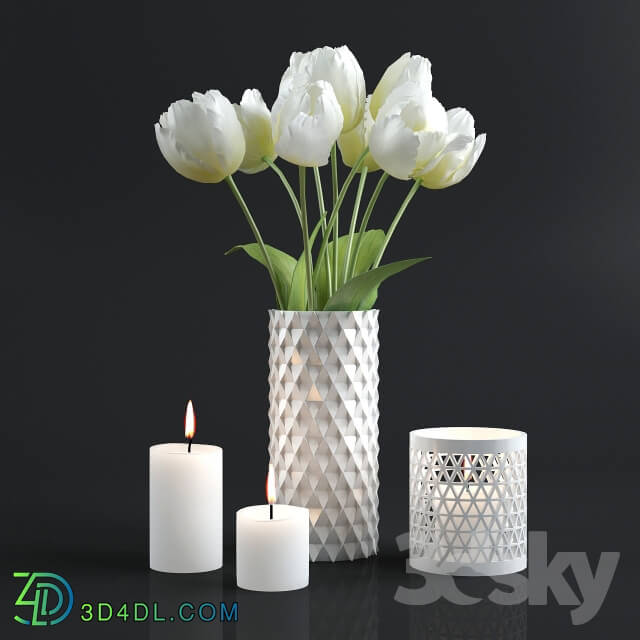 Plant Tulips and candles