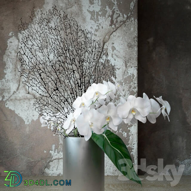 Plant Composition with orchids