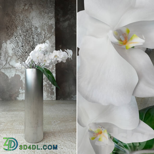 Plant Composition with orchids