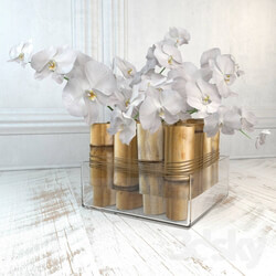 The composition with bamboo and orchids 3D Models 