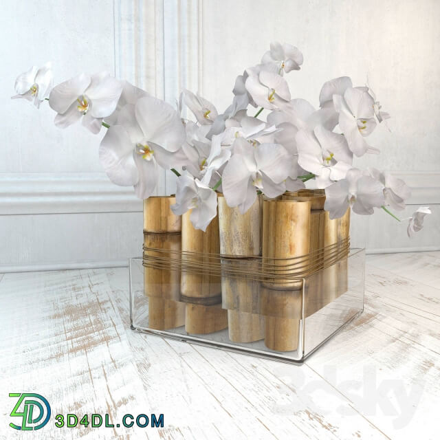 The composition with bamboo and orchids 3D Models