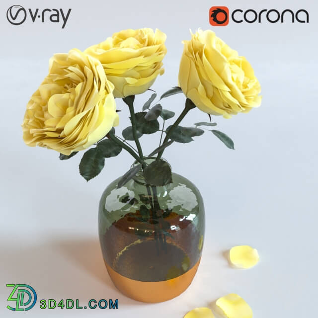 roses in a vase 3D Models