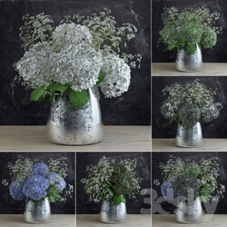 Plant - Bouquet of Gypsophila with Hyndrangeas 