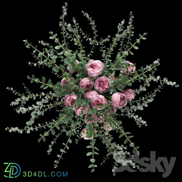 Plant - Pink roses and eucalyptus