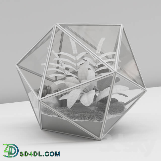 Plant Florarium icosahedron