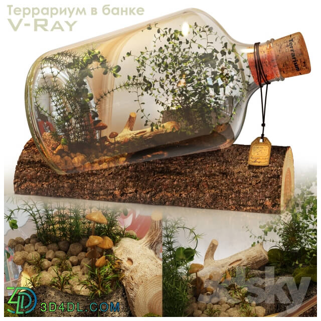 Terrarium in a Bottle 3D Models