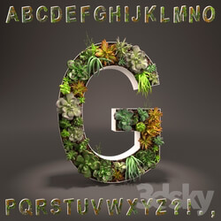 Plant - Alphabet made of sedum - alphabet from sedum 