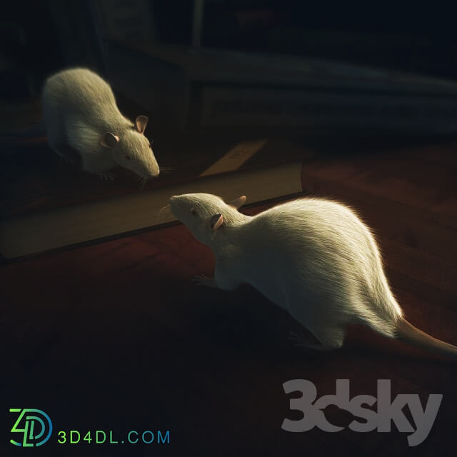 Creature - animated mouse