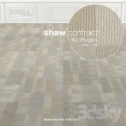 Carpets - Shaw Carpet Mindful Play Think No_ 3 