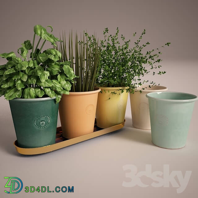 Svenskt Tenn herb pots