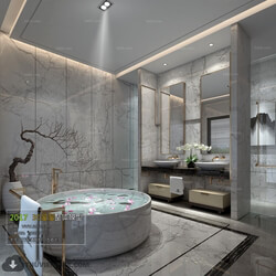 3D66 2017 Chinese Style Bathroom 2980 046 
