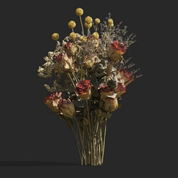 Maxtree-Plants Vol53 Dry flower 03 01 
