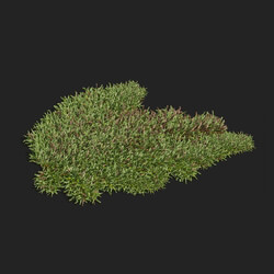 Maxtree-Plants Vol83 Vesicularia 01 01 