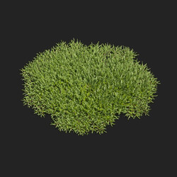 Maxtree-Plants Vol83 Vesicularia 01 06 