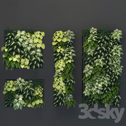 Vertical gardening 01 Fitowall 3D Models 