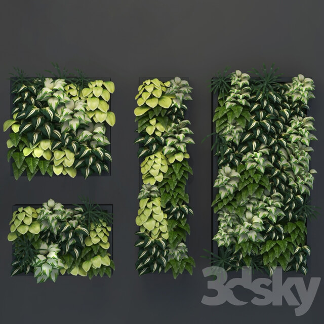 Vertical gardening 01 Fitowall 3D Models