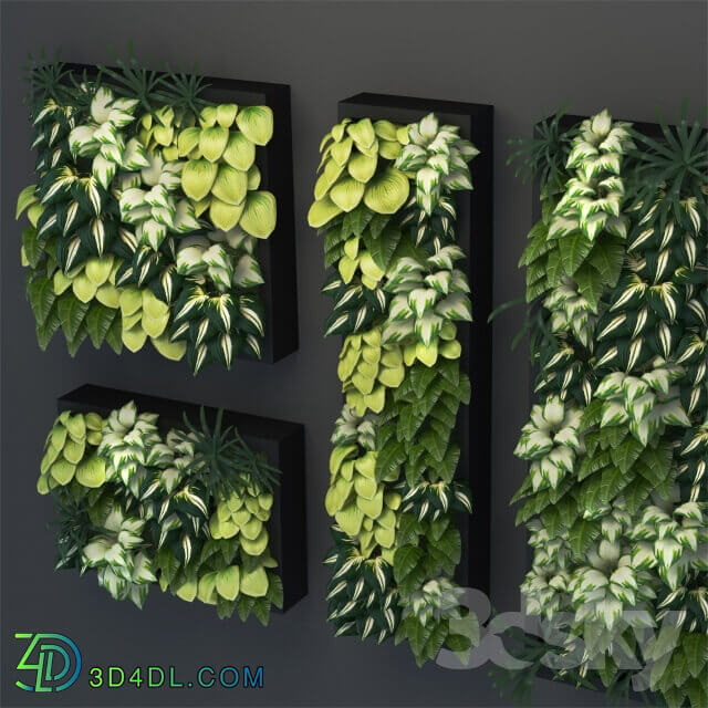 Vertical gardening 01 Fitowall 3D Models