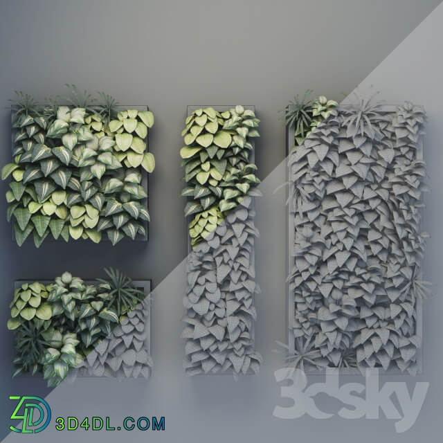 Vertical gardening 01 Fitowall 3D Models