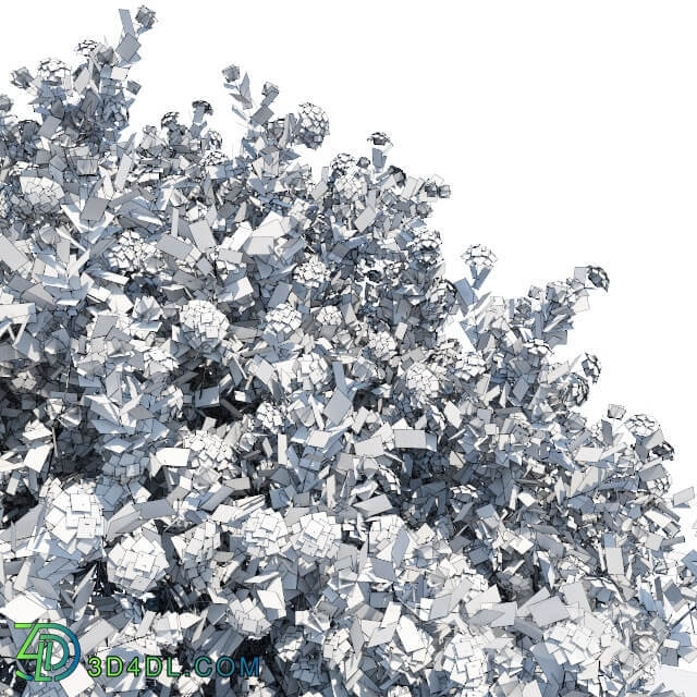 Spiraea shrub 1 Grass 3D Models