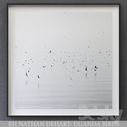 NATHAN DEHART UGANDA BIRDS 