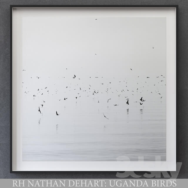 NATHAN DEHART UGANDA BIRDS