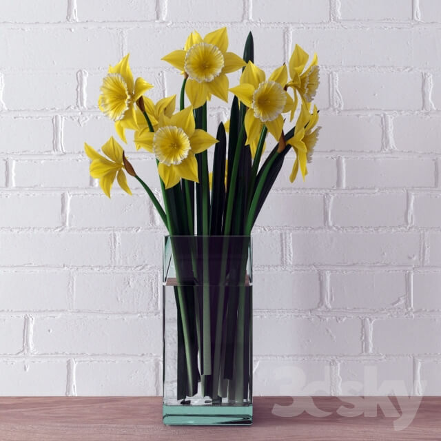 Plant A bouquet of daffodils
