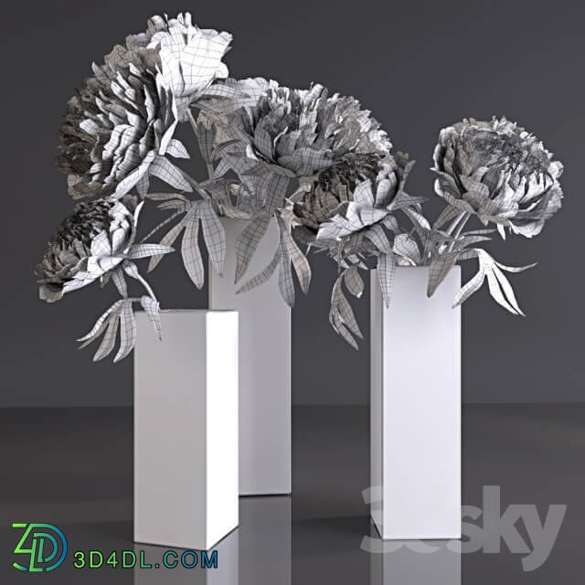 Peonies 3D Models