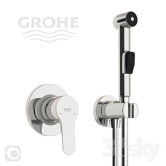 Hygienic shower Grohe BauEdge 28343007