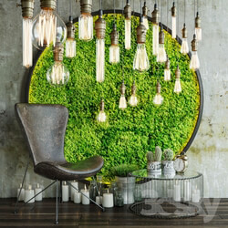 Decor set with moss and lamps 