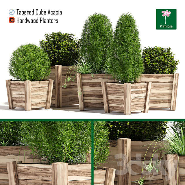 Plant Hardwood planters