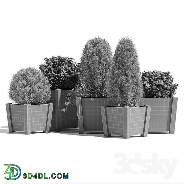 Plant Hardwood planters